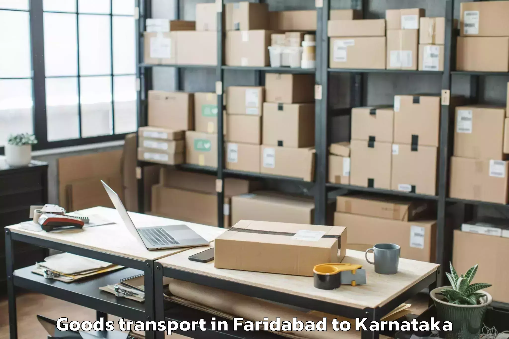 Expert Faridabad to Hassan Goods Transport